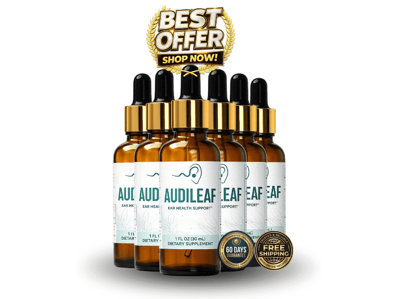  AudiLeaf sale